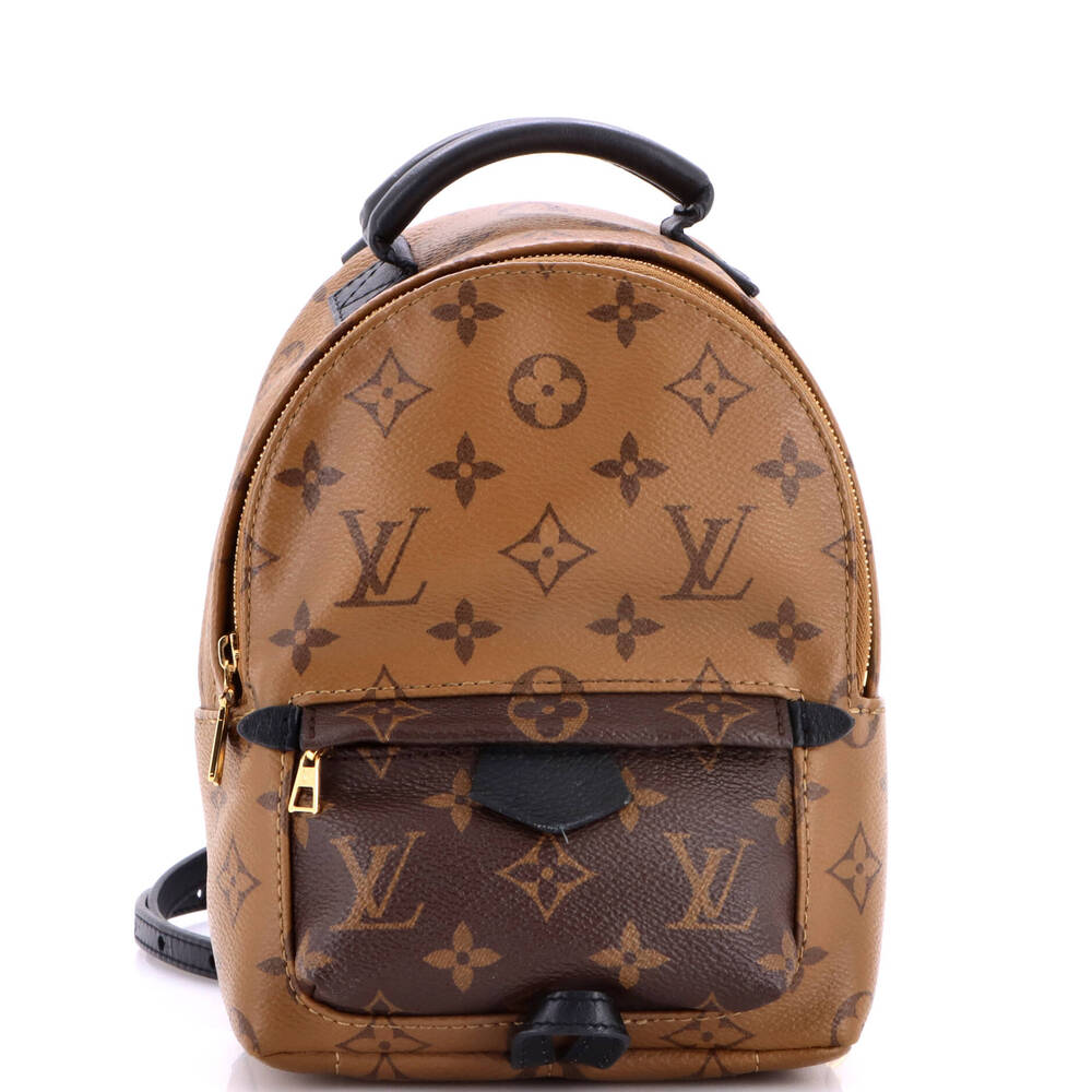Louis Vuitton Palm Springs Backpack #374944L24B